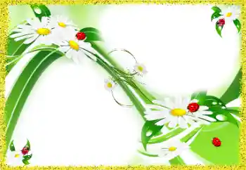 범주에서의 사진 효과 여성 프레임 № 97688