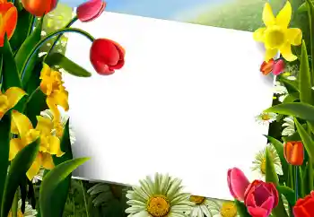 범주에서의 사진 효과 여성 프레임 № 9867