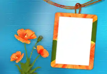 범주에서의 사진 효과 여성 프레임 № 98705