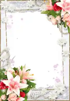 범주에서의 사진 효과 여성 프레임 № 9904