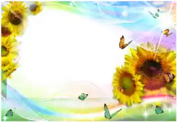 범주에서의 사진 효과 여성 프레임 № 99812