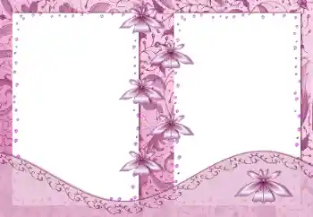 범주에서의 사진 효과 여성 프레임 № 99881