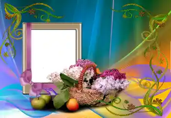 범주에서의 사진 효과 여성 프레임 № 99890