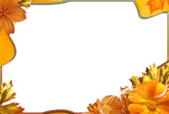 범주에서의 사진 효과 여성 프레임 № 99971