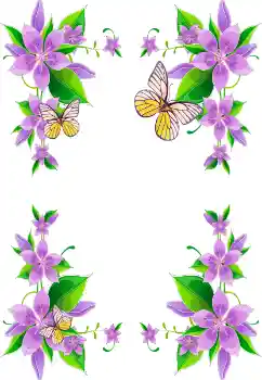 범주에서의 사진 효과 여성 프레임 № 99979